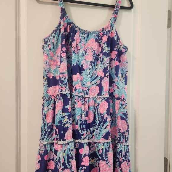 Lilly Pulitzer Loro Dress - Picture 4 of 6